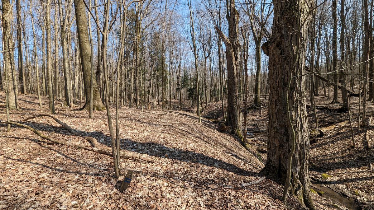Hole 6 fairway from blue tees
