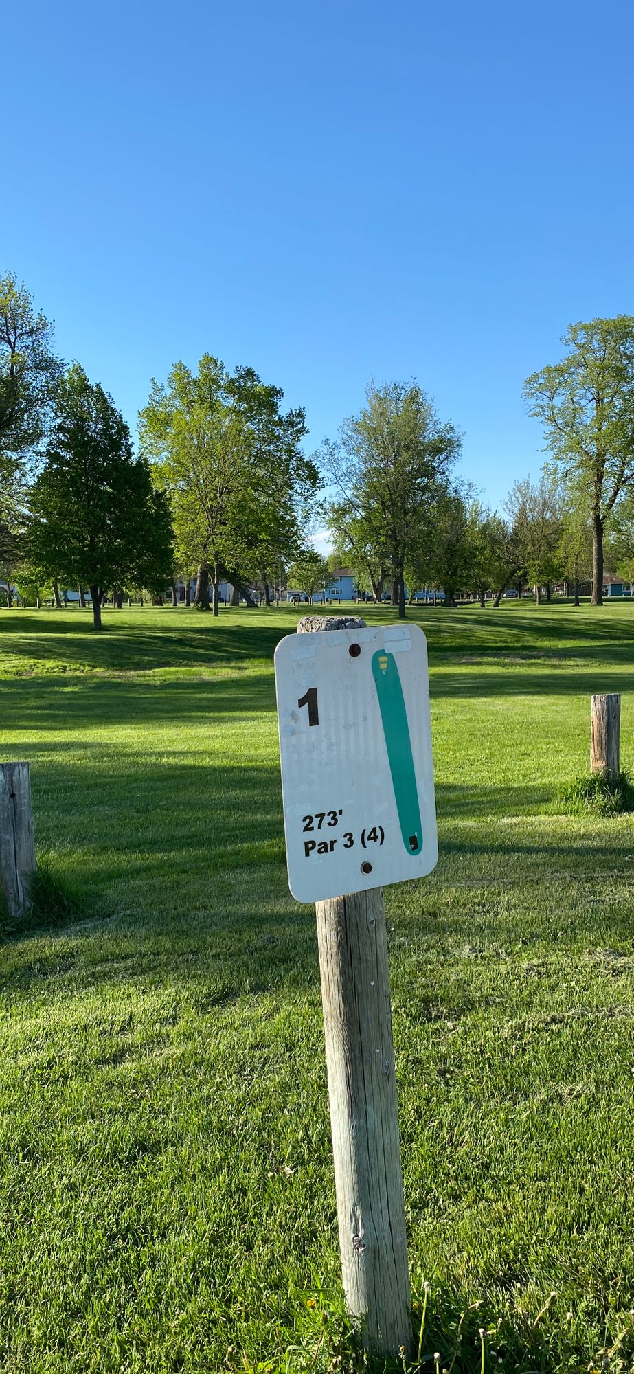 Windy but nice
