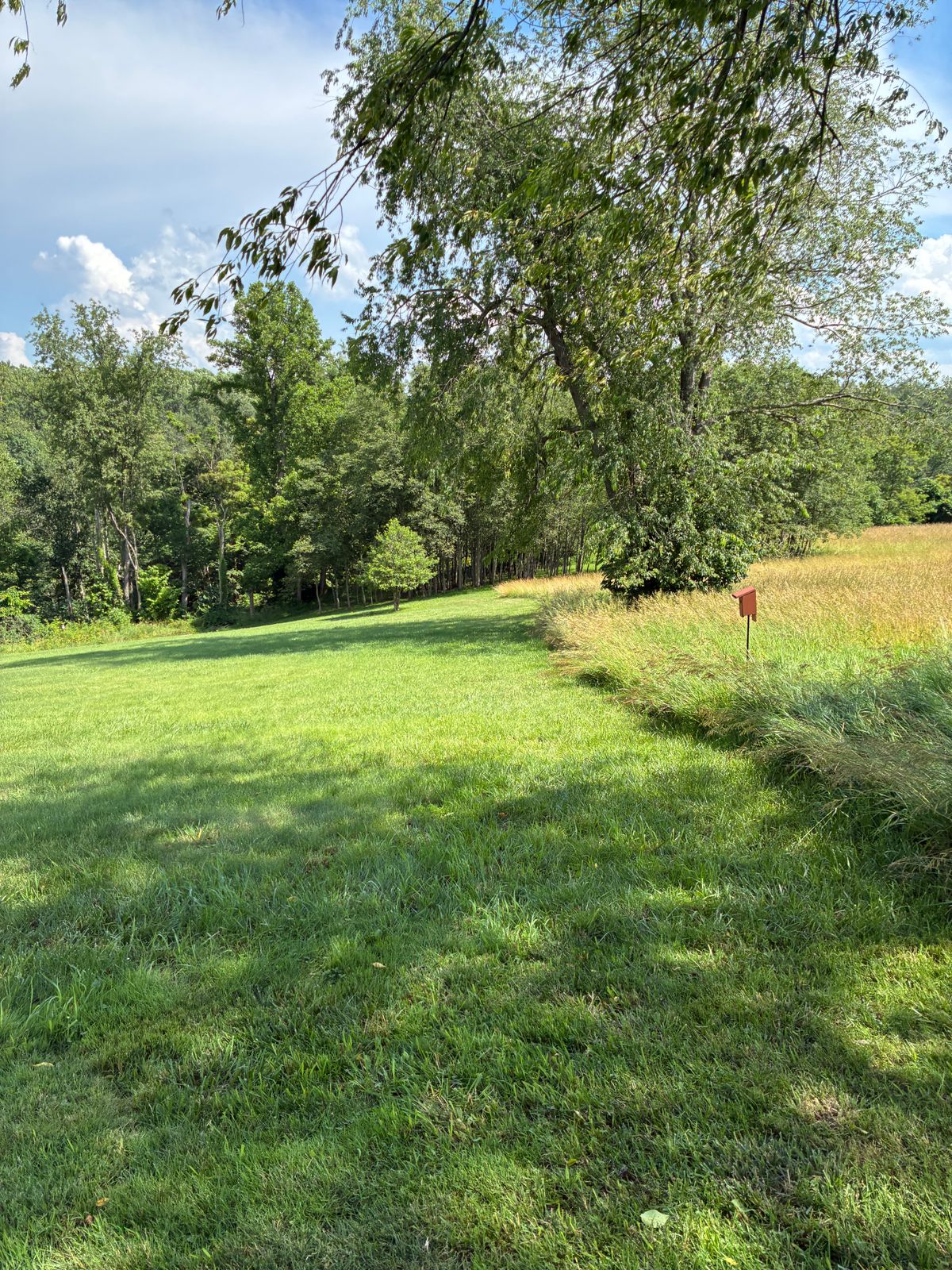 #12 Tee box. One basket heavily protected by trees .
