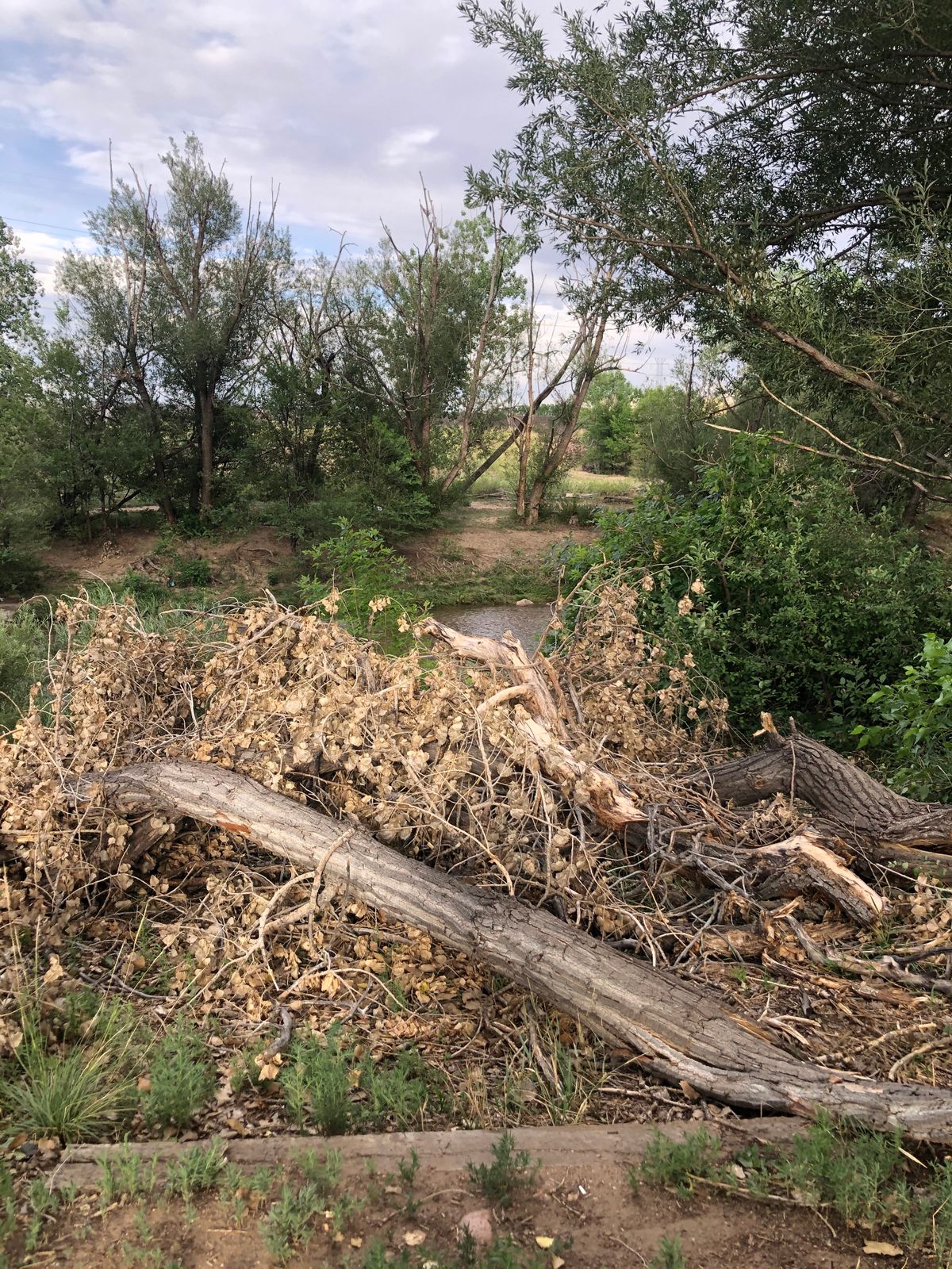 Hole 1 tee box