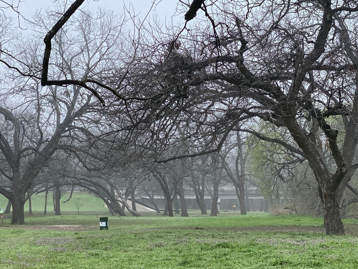 Misty morning