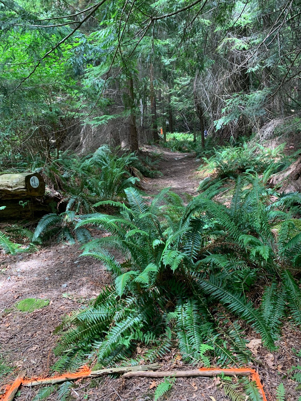 Hole 1 back