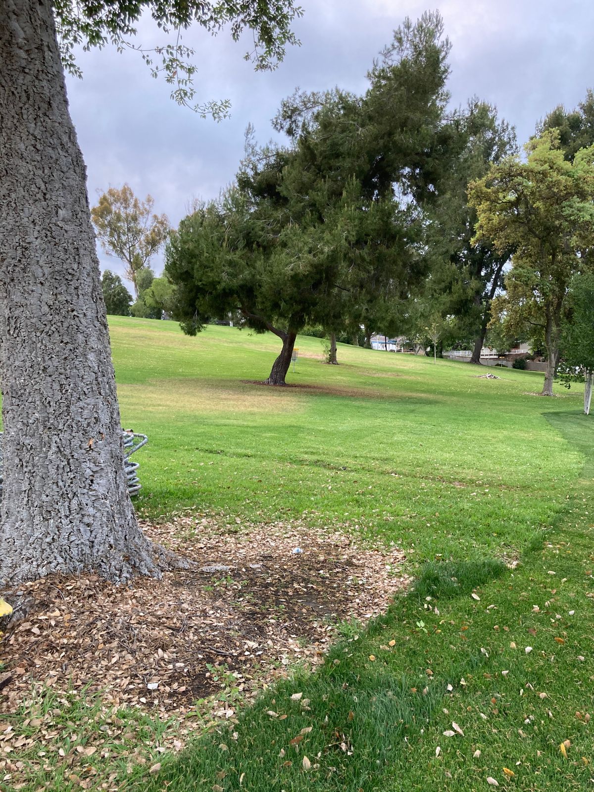 Rolling Hills 9
Tee #1: start from under the tree to the right, just in front of the fence.