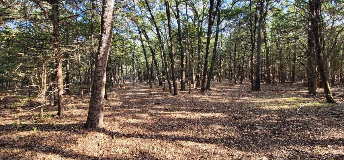 Hole 9 fairway