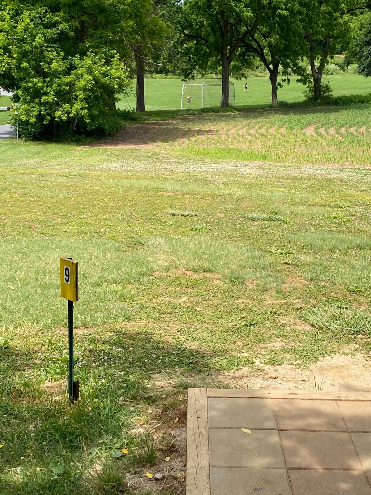 Tee #9 - basket down near baseball backstop
