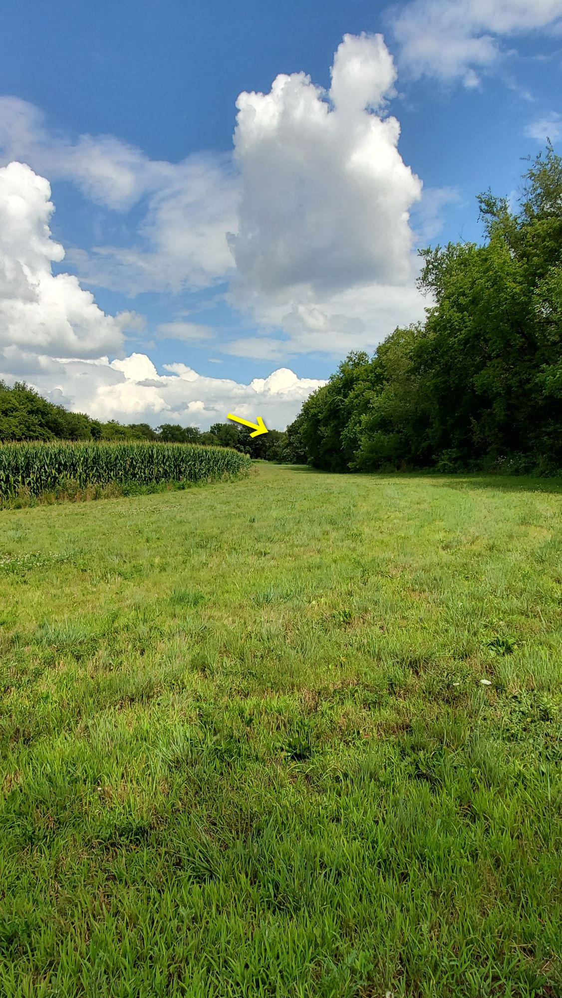 Hole 4's fairway.
