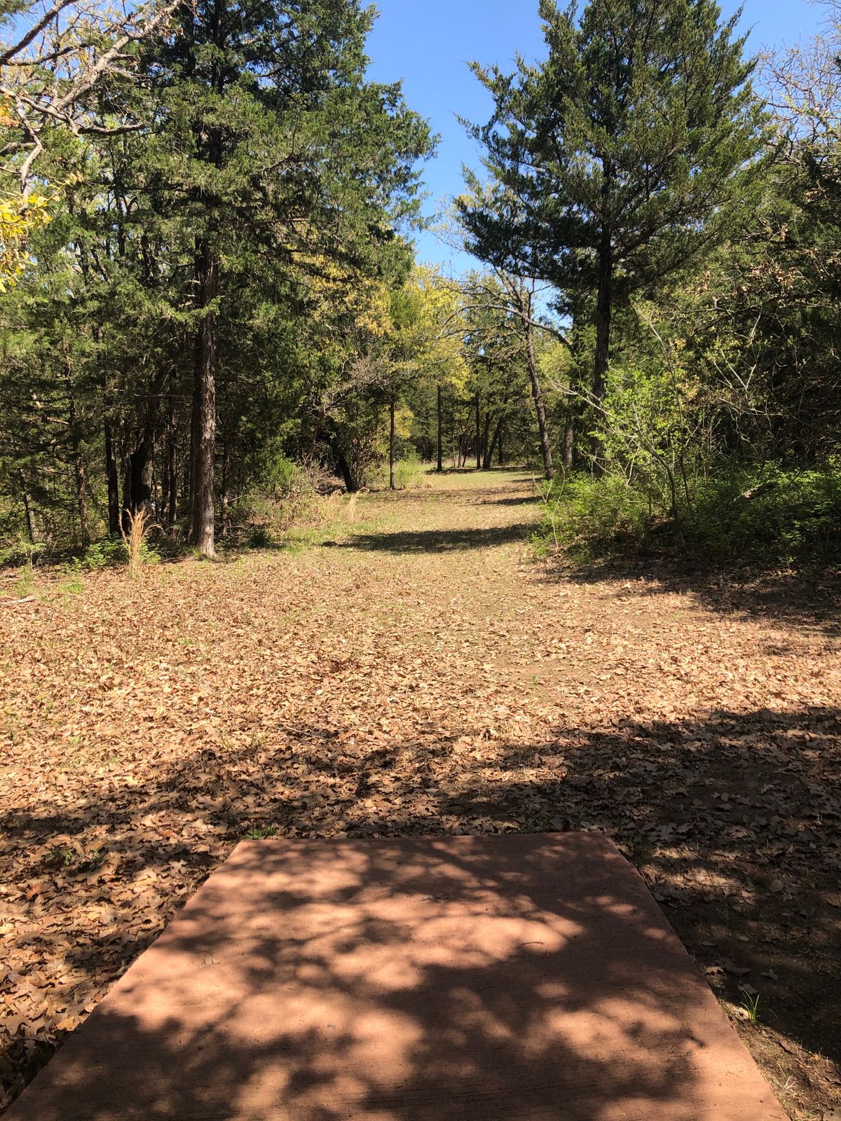 Hole 3 north long tee