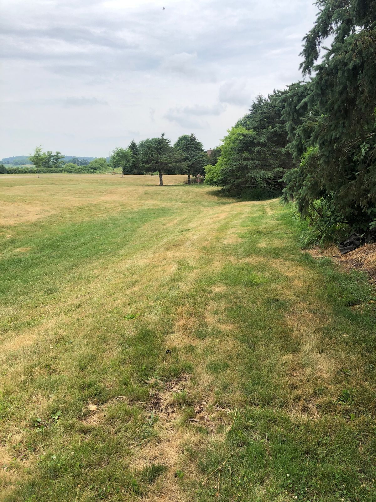 Tee Box 2
