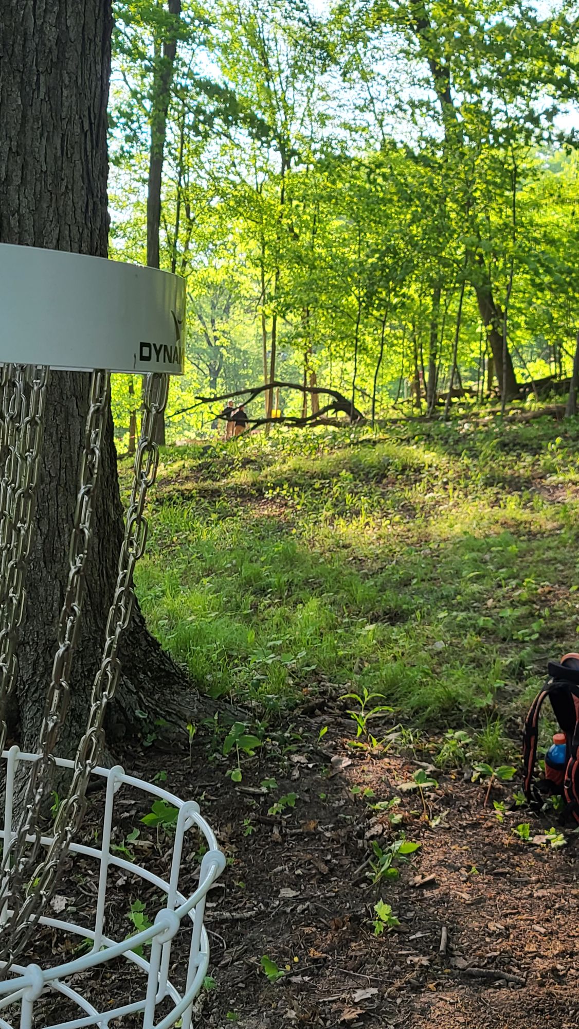 Hole 3 from basket