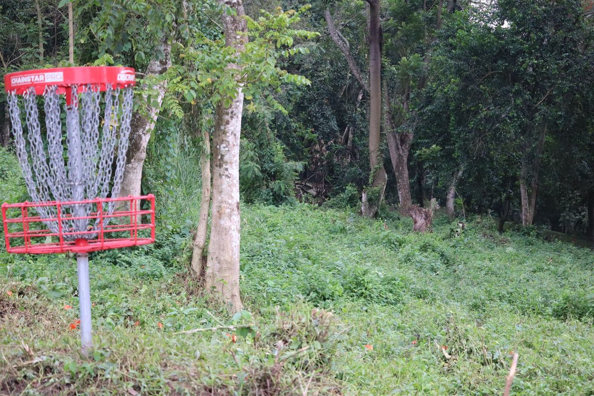 Hole 5 Basket