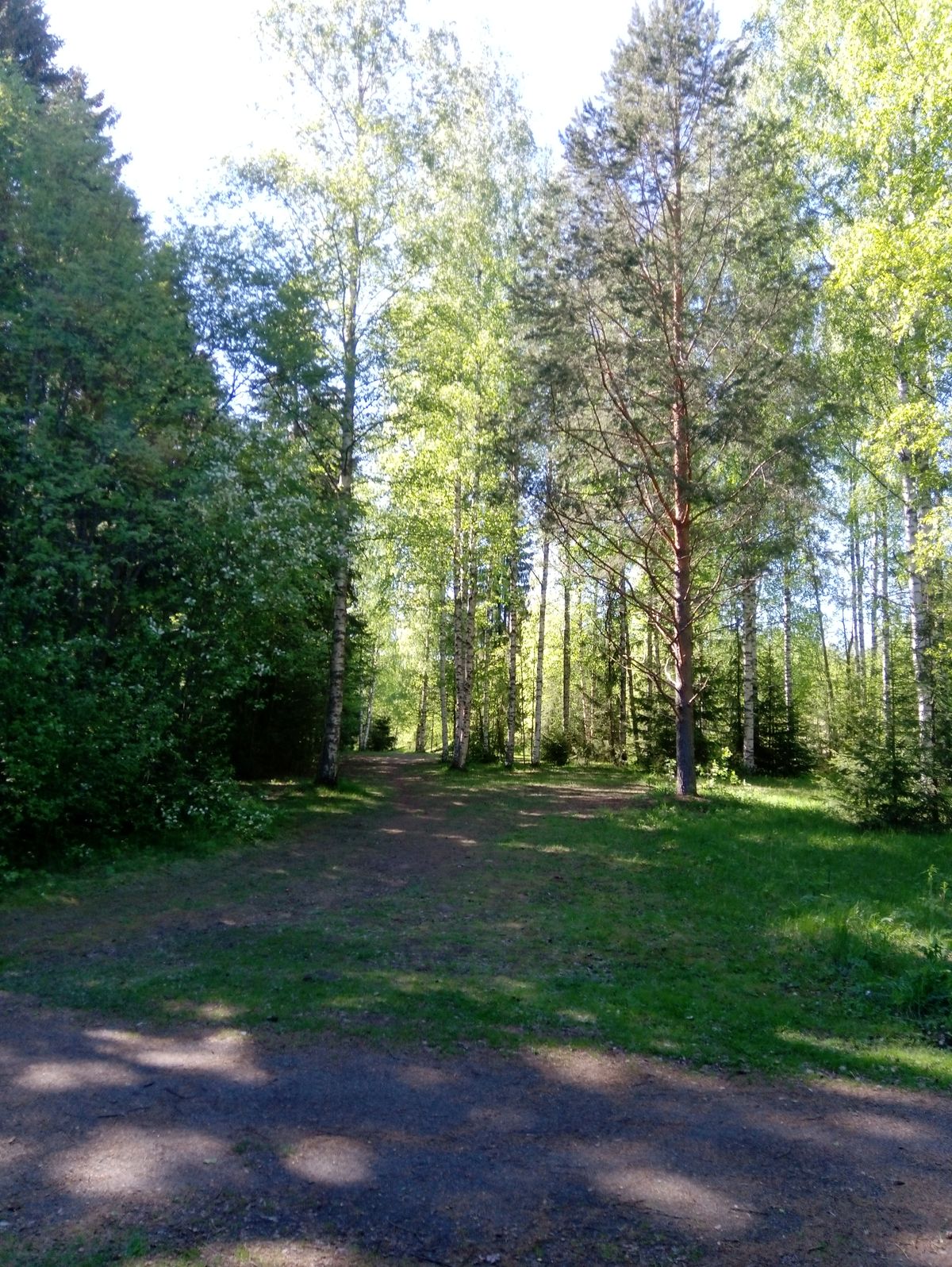 Väylä #2 (30.5.2021).