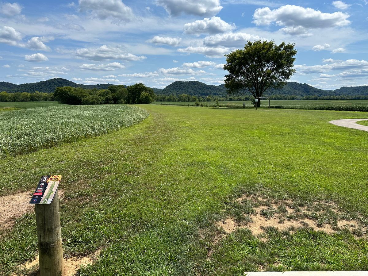 Hole 3 Tee
