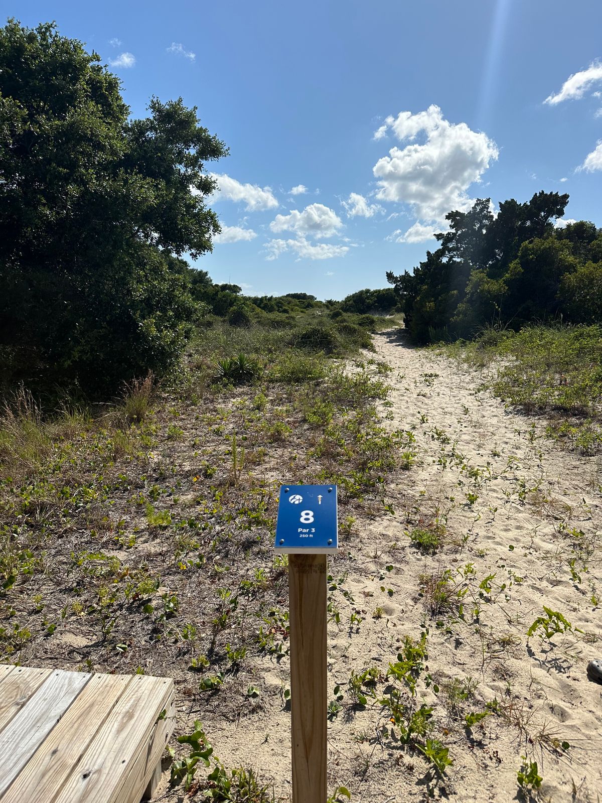 Hole 8 tee.  (This hole plays through a sand dune so it does have a wooden tee platform.)