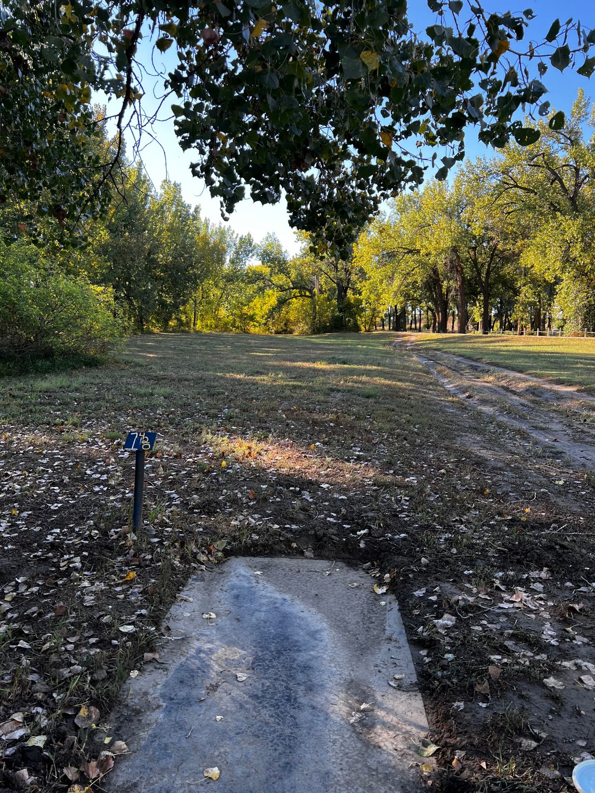Tee 1