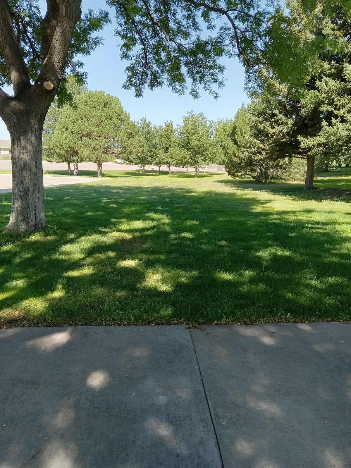 Neo Layout hole 1. Tee off from concrete to basket #1 (white number on basket.)