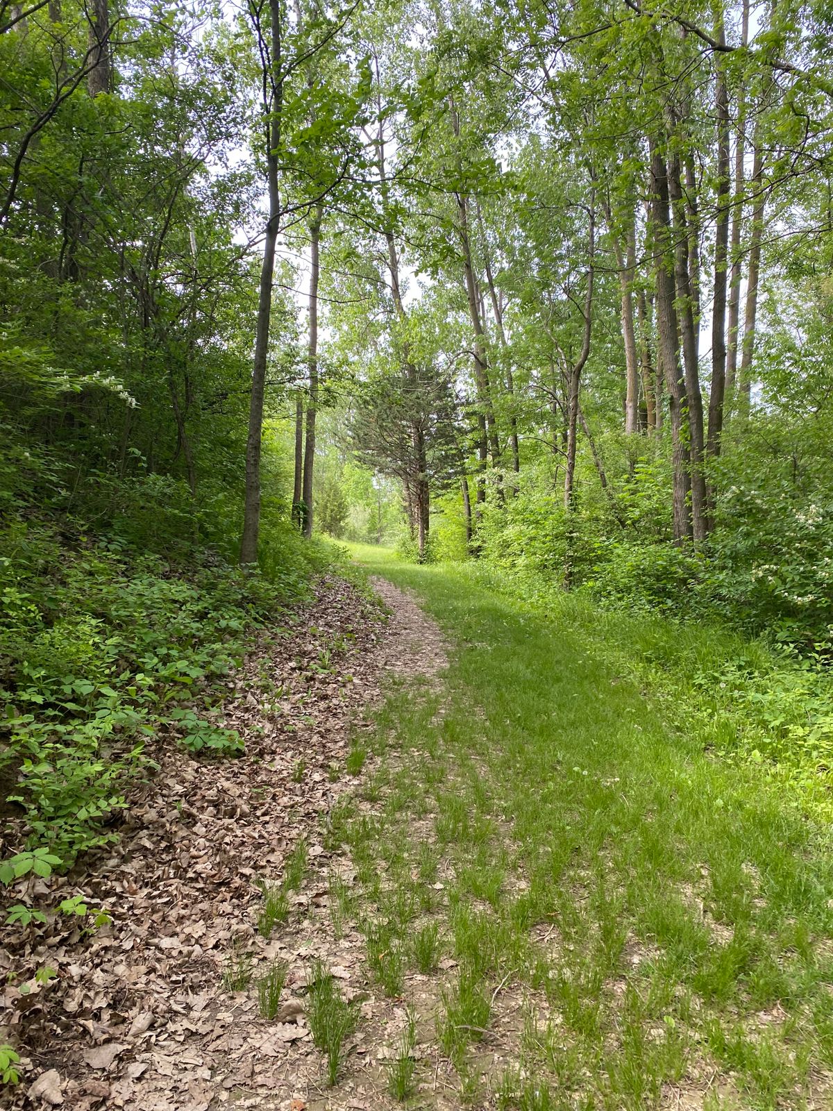 Tee view of hole 17