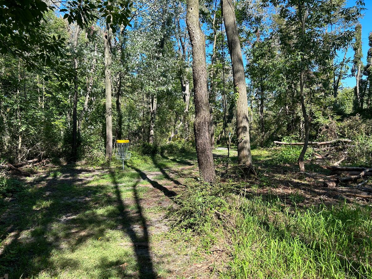 Hole 6