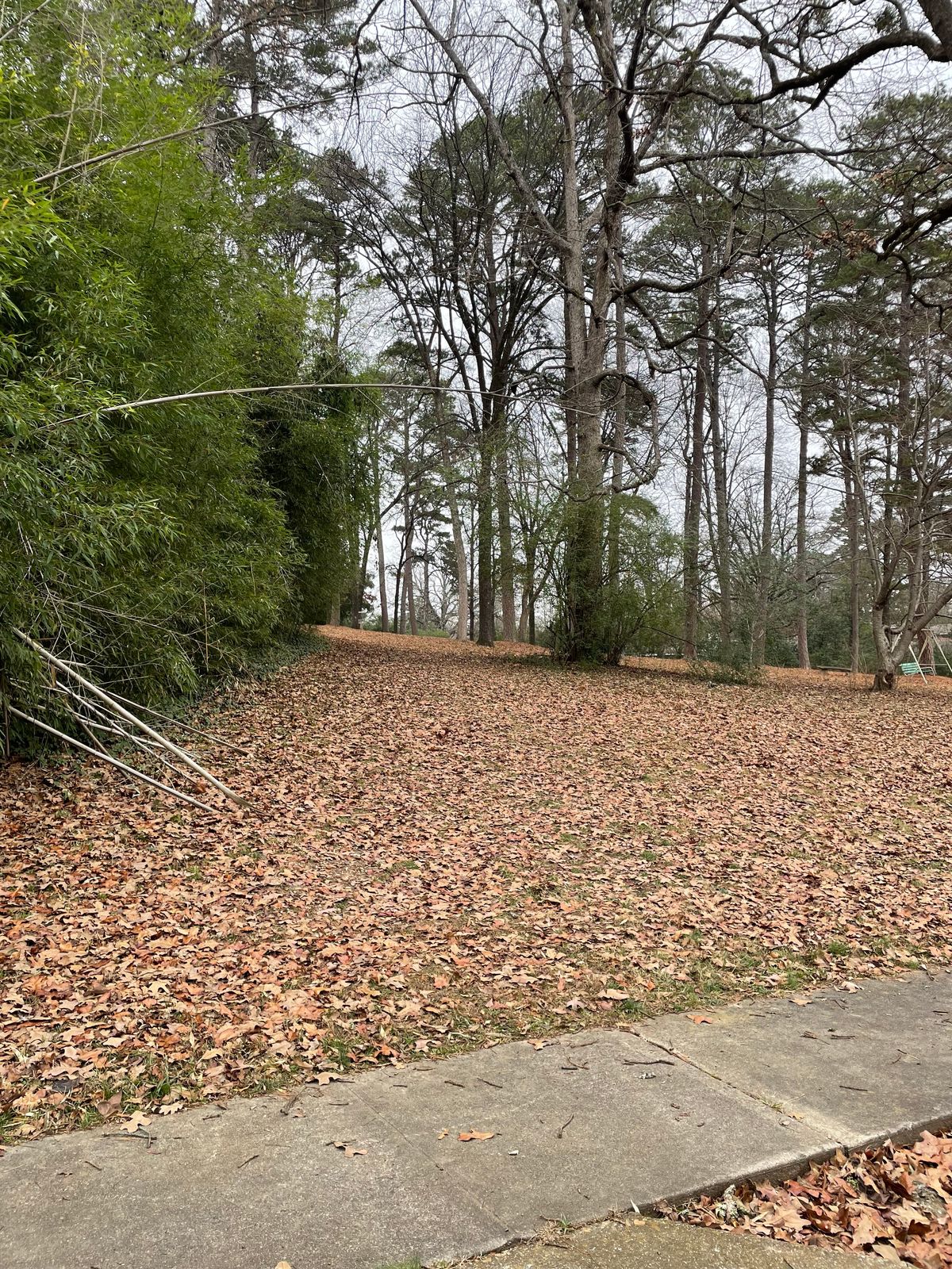 Hole1: Basket straight down fence line on left.