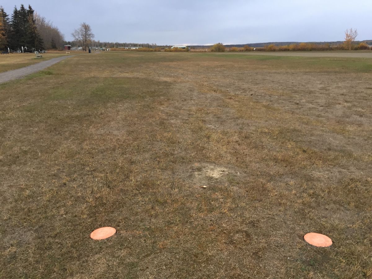 17: tee pad