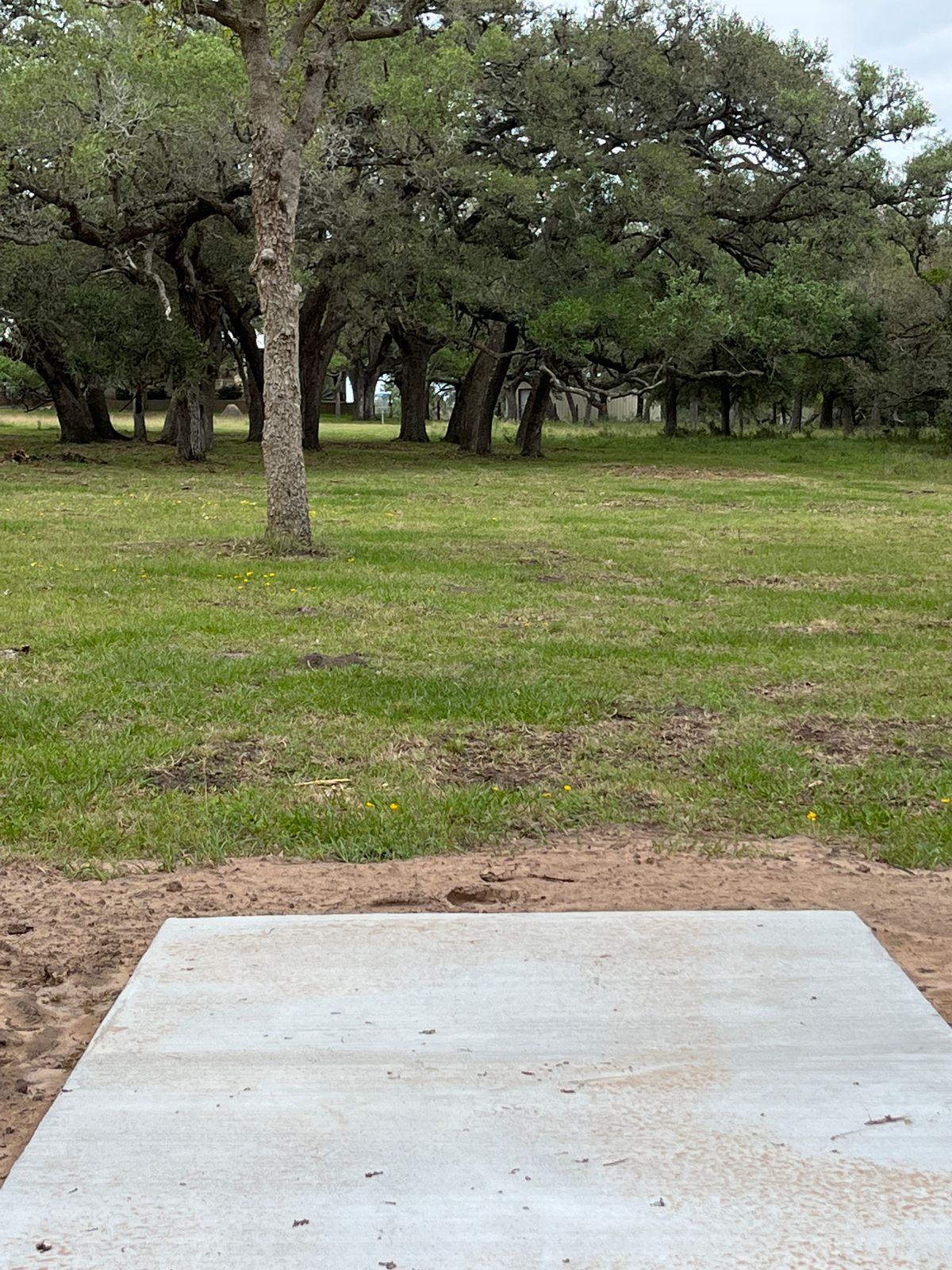 Hole 9 - choices, choices, choices!