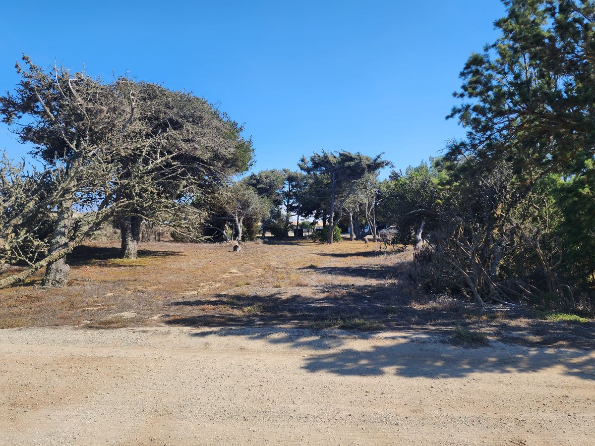 View looking back from hole 3