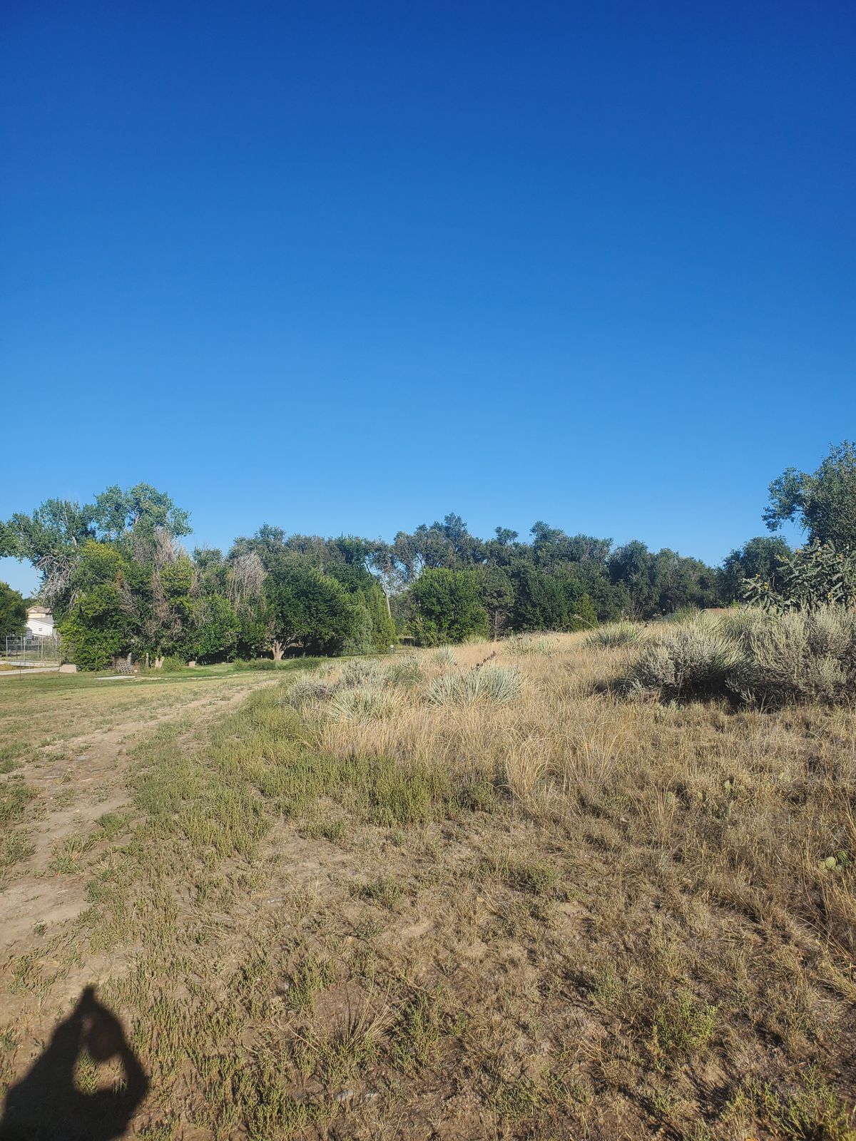 Hole 6