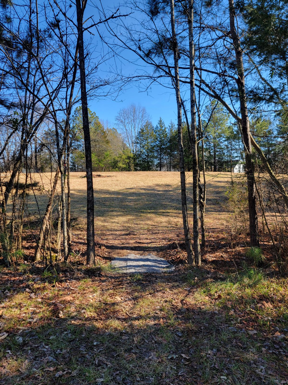 Hole 12 gap