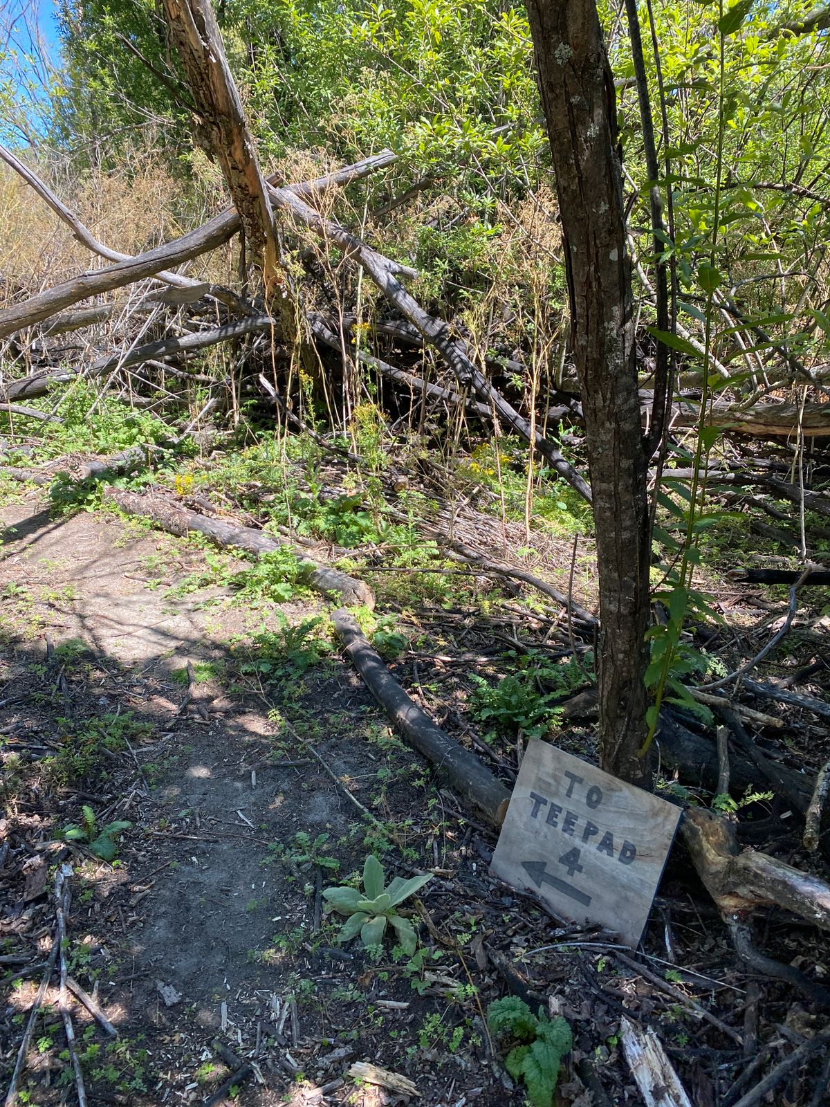 Walkway to hole 4