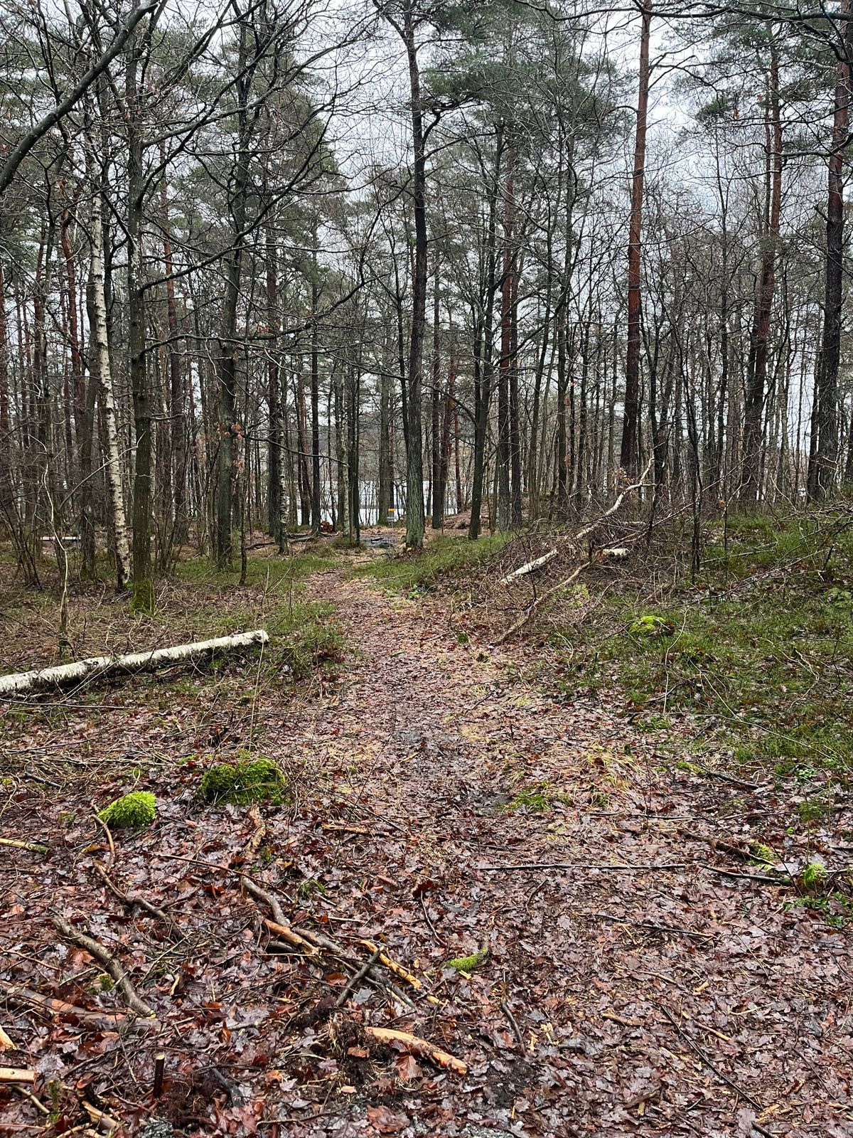Hål 7