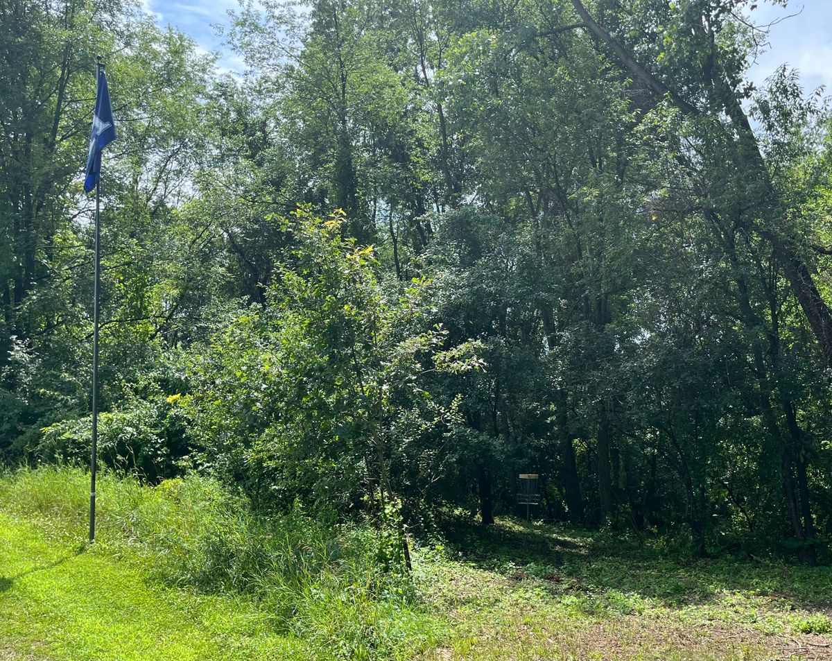 Hole 10’s green with the basket tucked back in the shade . Enter the green right of the flagpole.