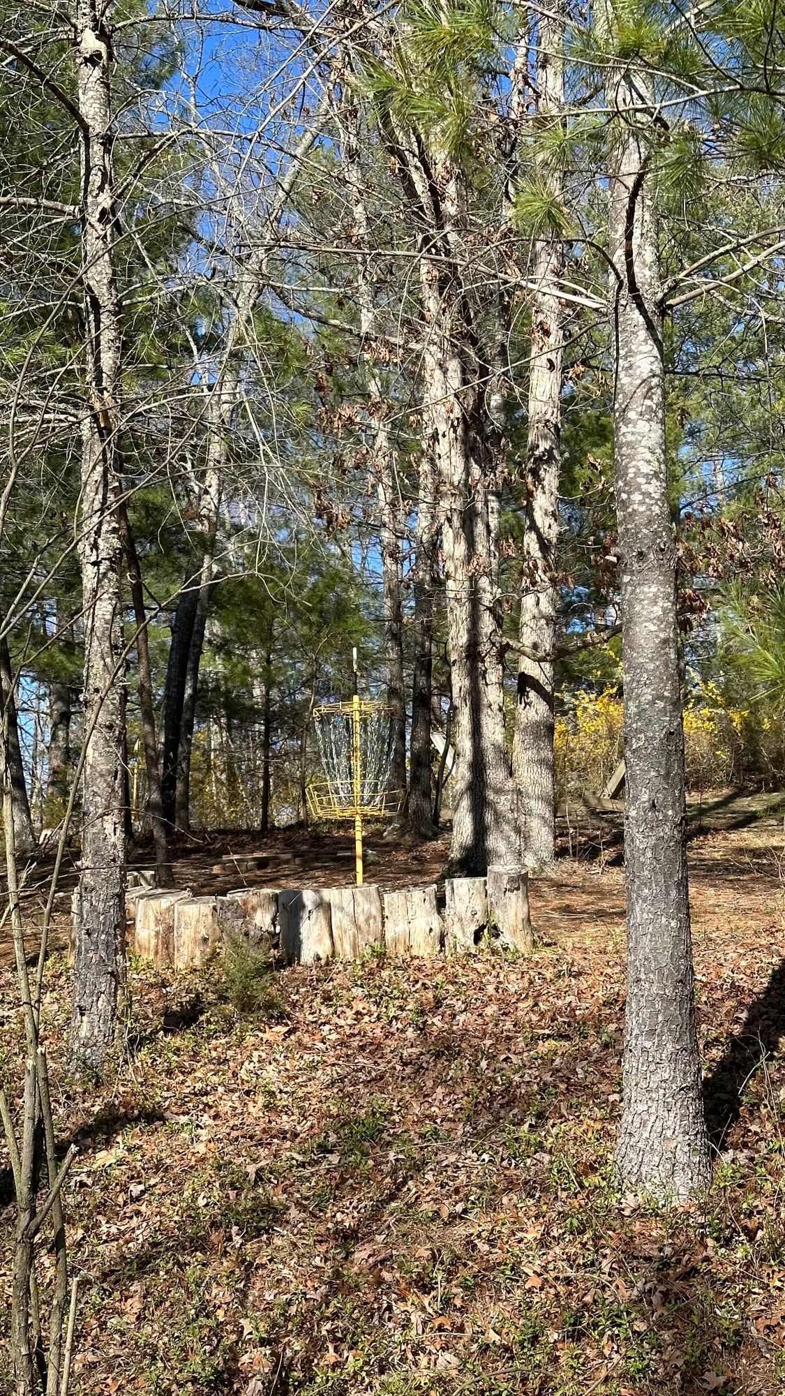Alternate back 9 / Wilson