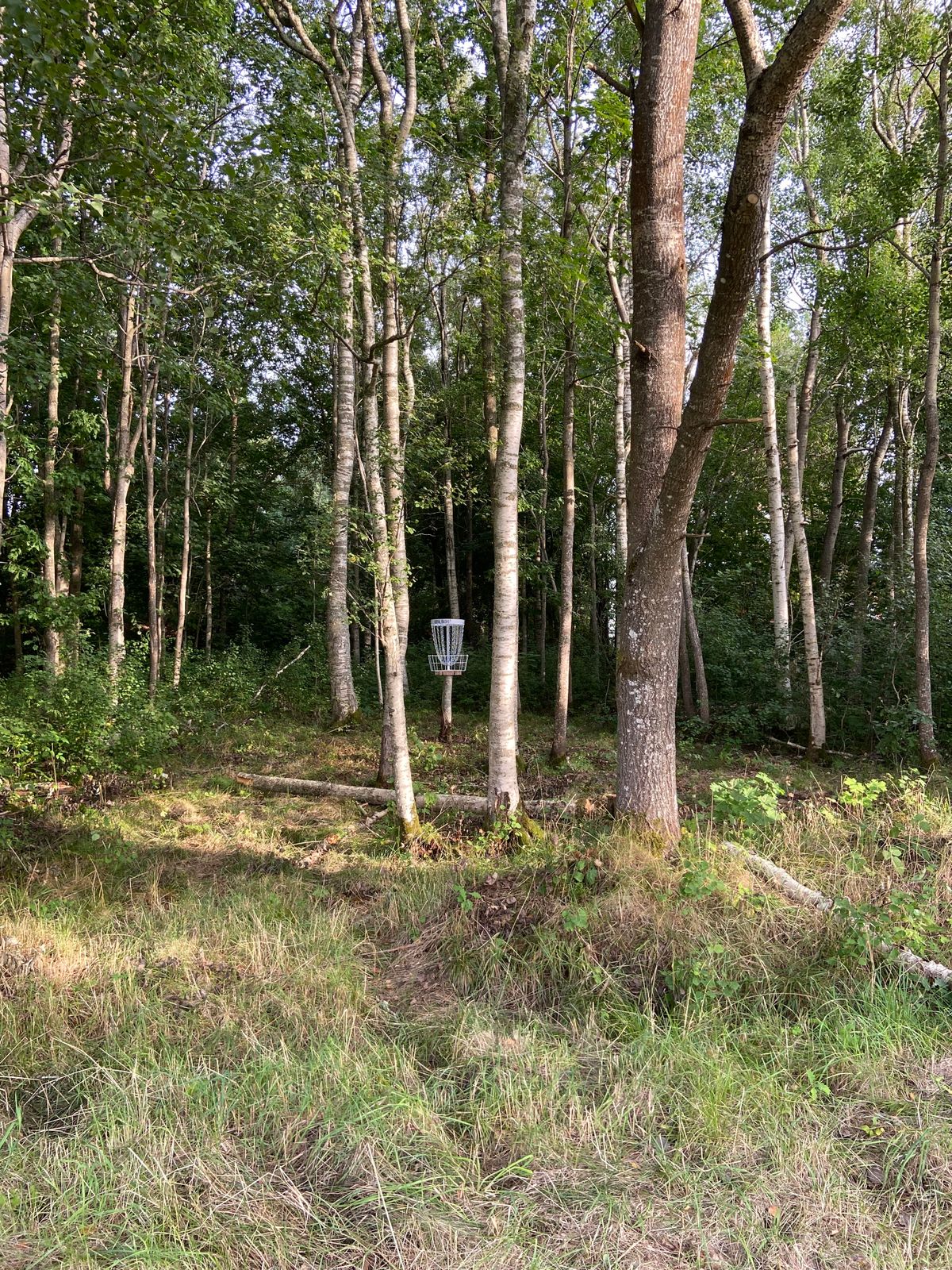 Hål 12.