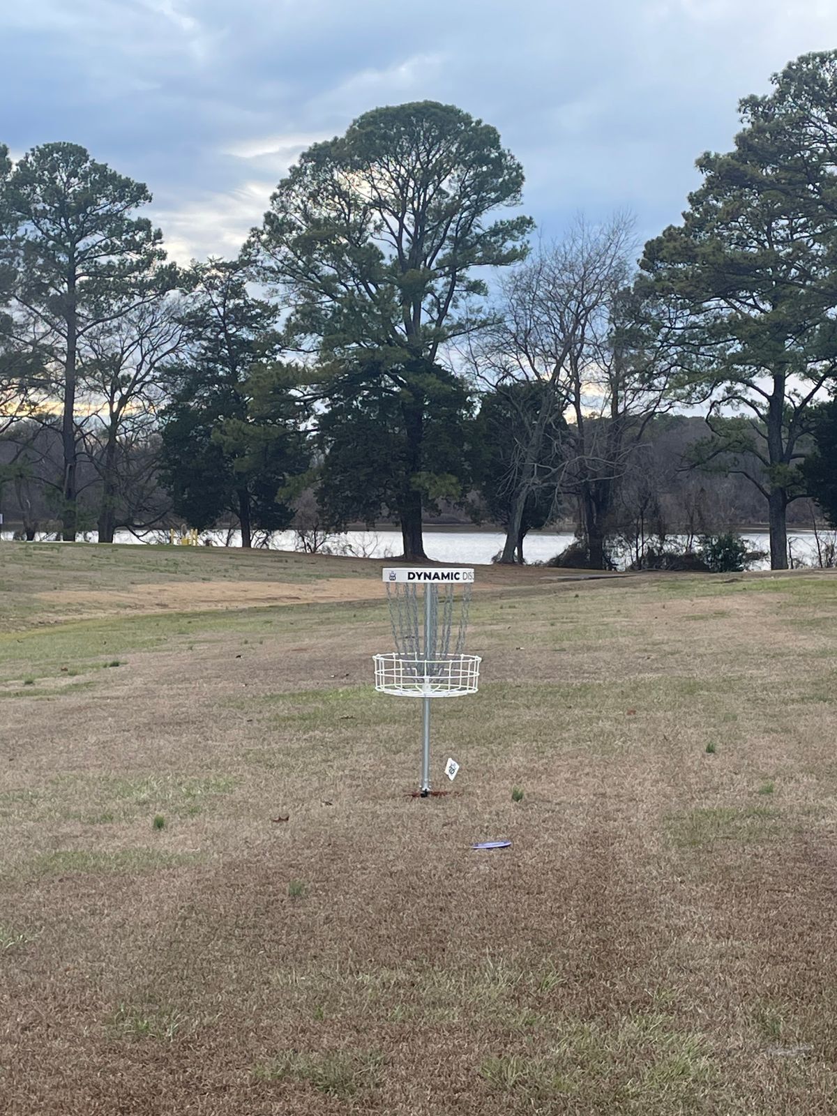 Hole 7 basket