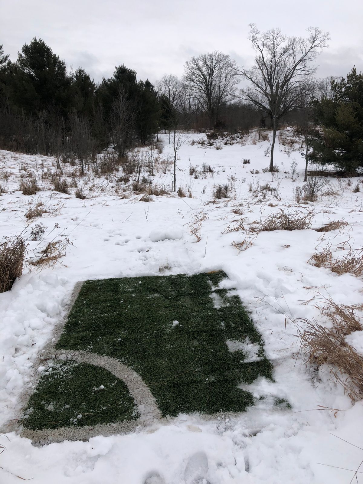 Hole 6 red tee