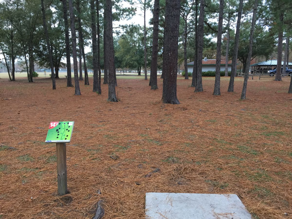 Hole 14
