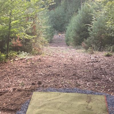 Hole 8