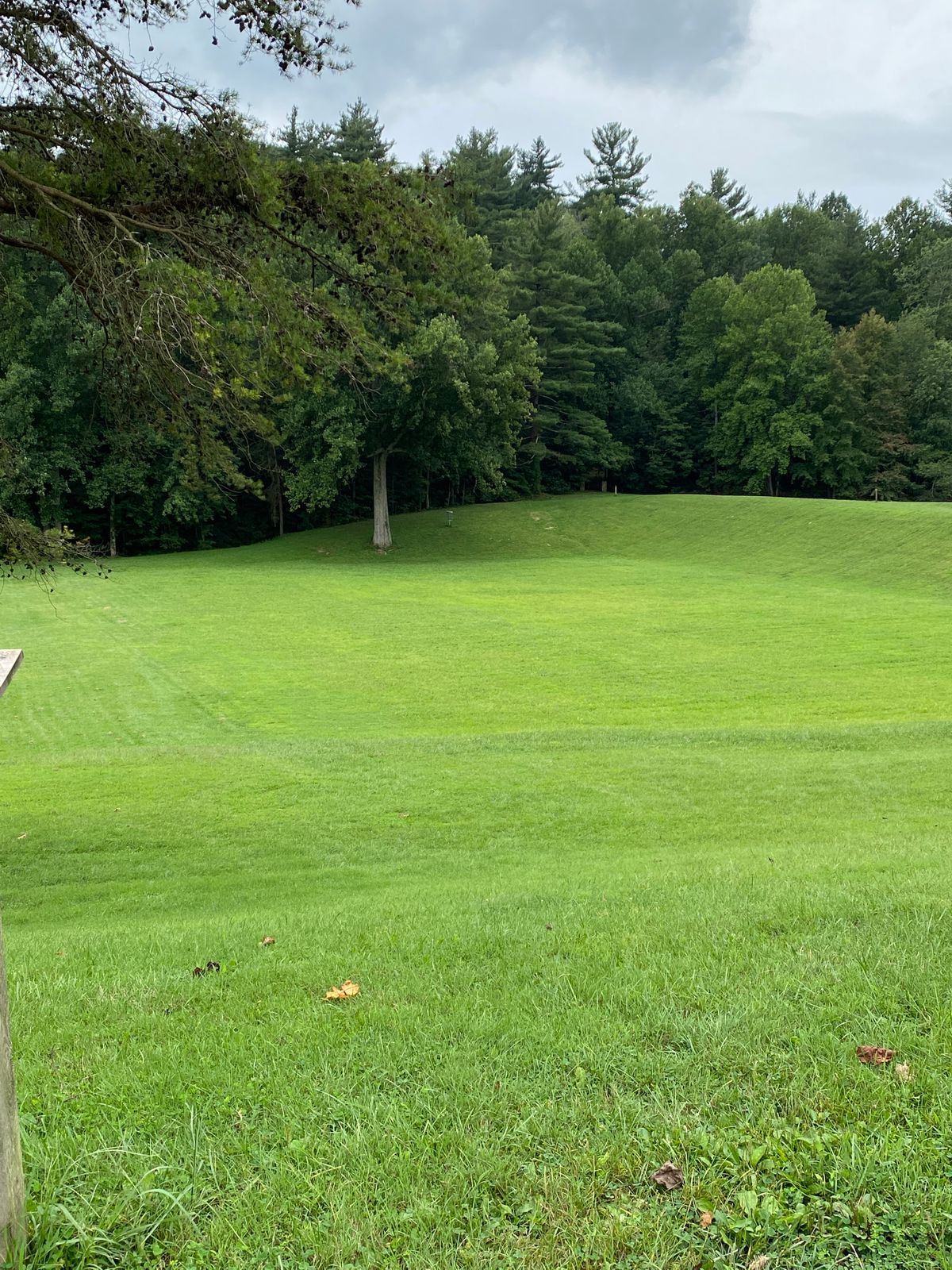Hole 9, 390 ft. Very fun course. No tee pads, but don’t let it stop you from going.
