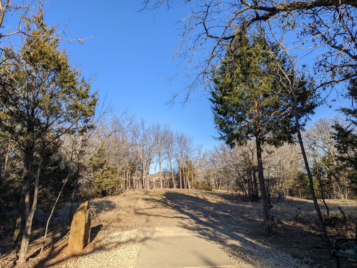 Hole 7 - beyond the trees is a wide open long fairway, dogleg right.