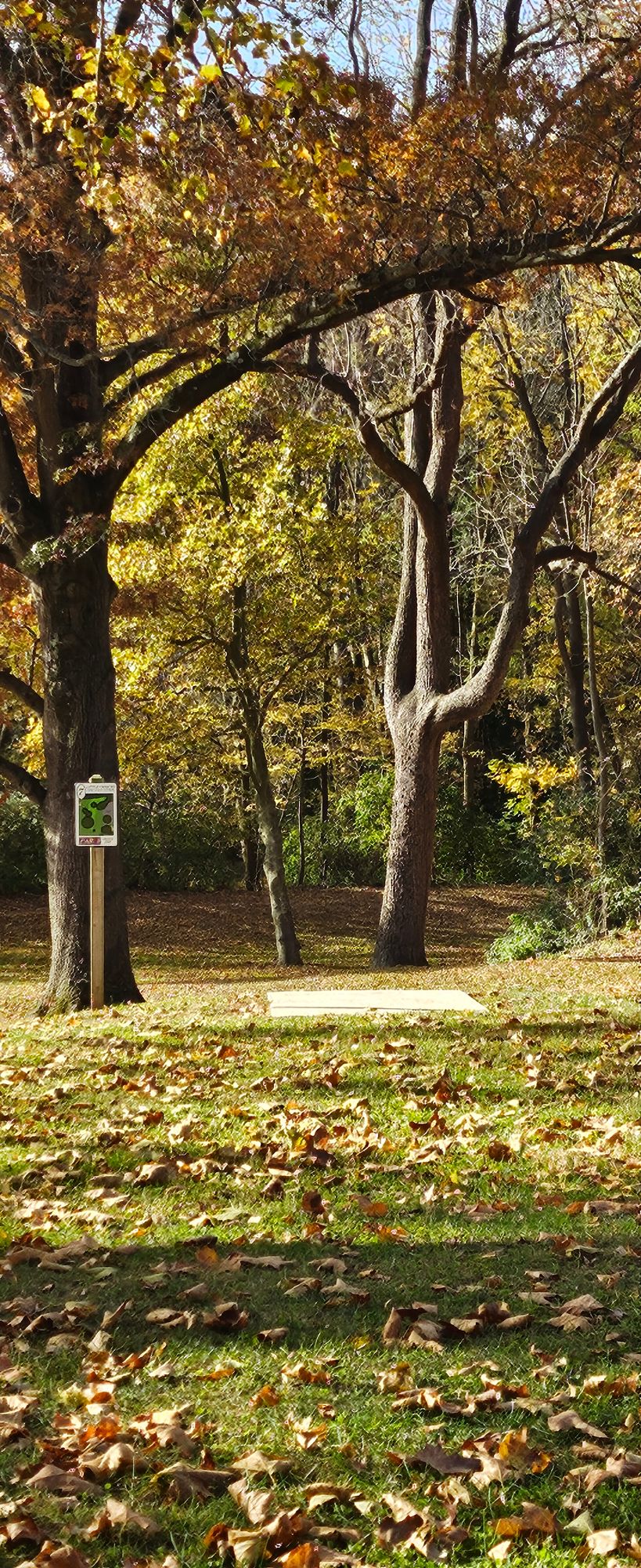 Hole 7 on a beautiful fall morning