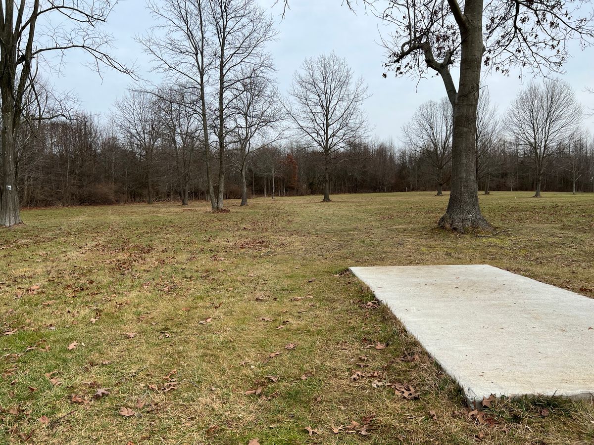 Hole 11 Blue