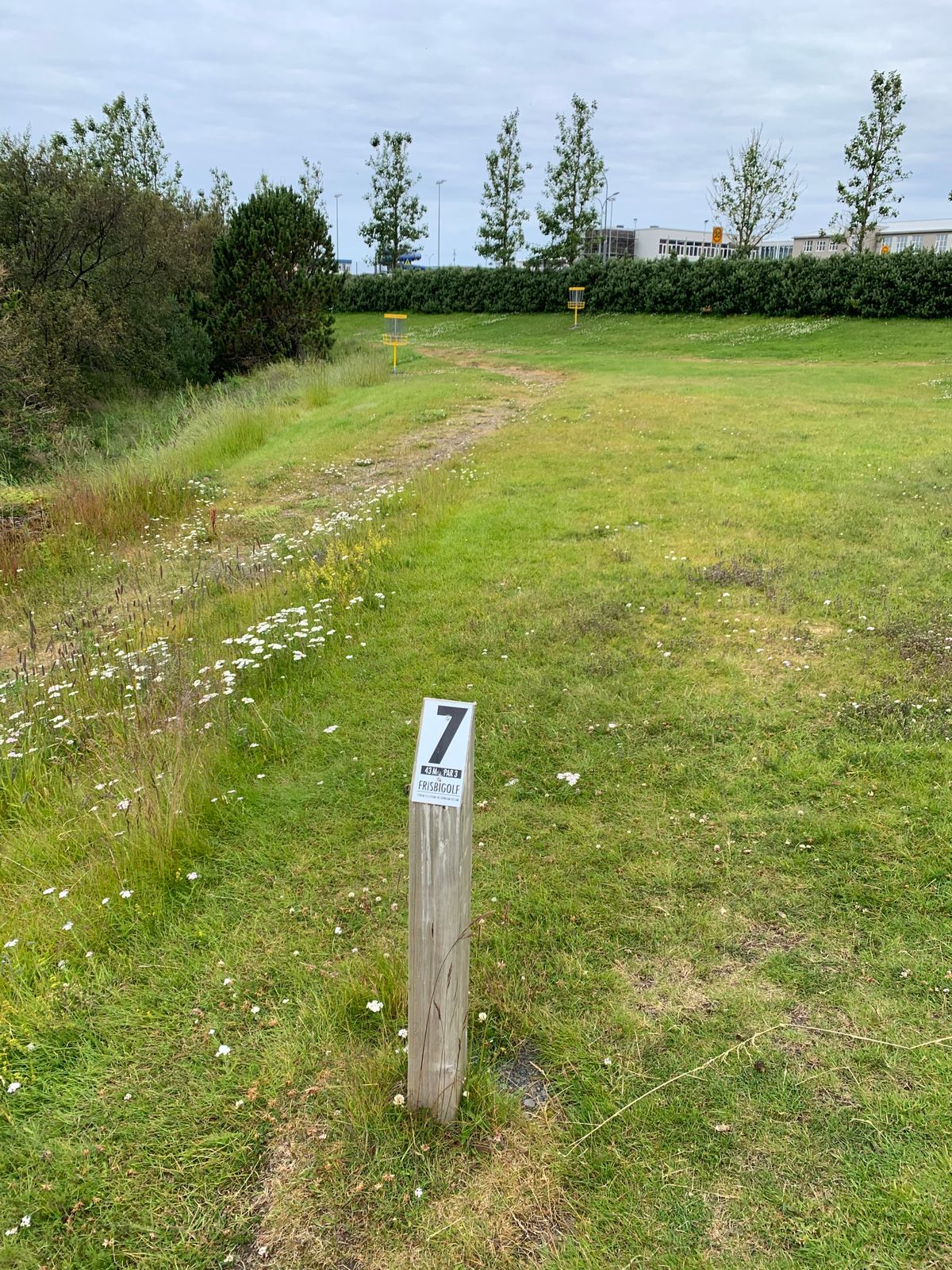 7th tee
