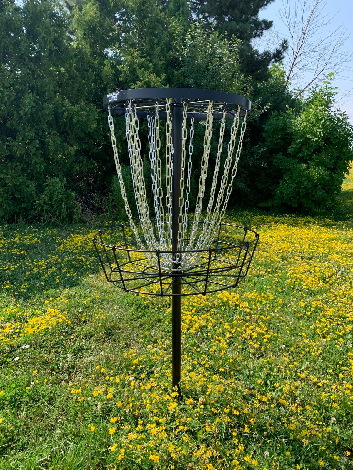 Hole 3 basket.