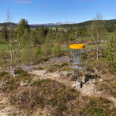 Course photo