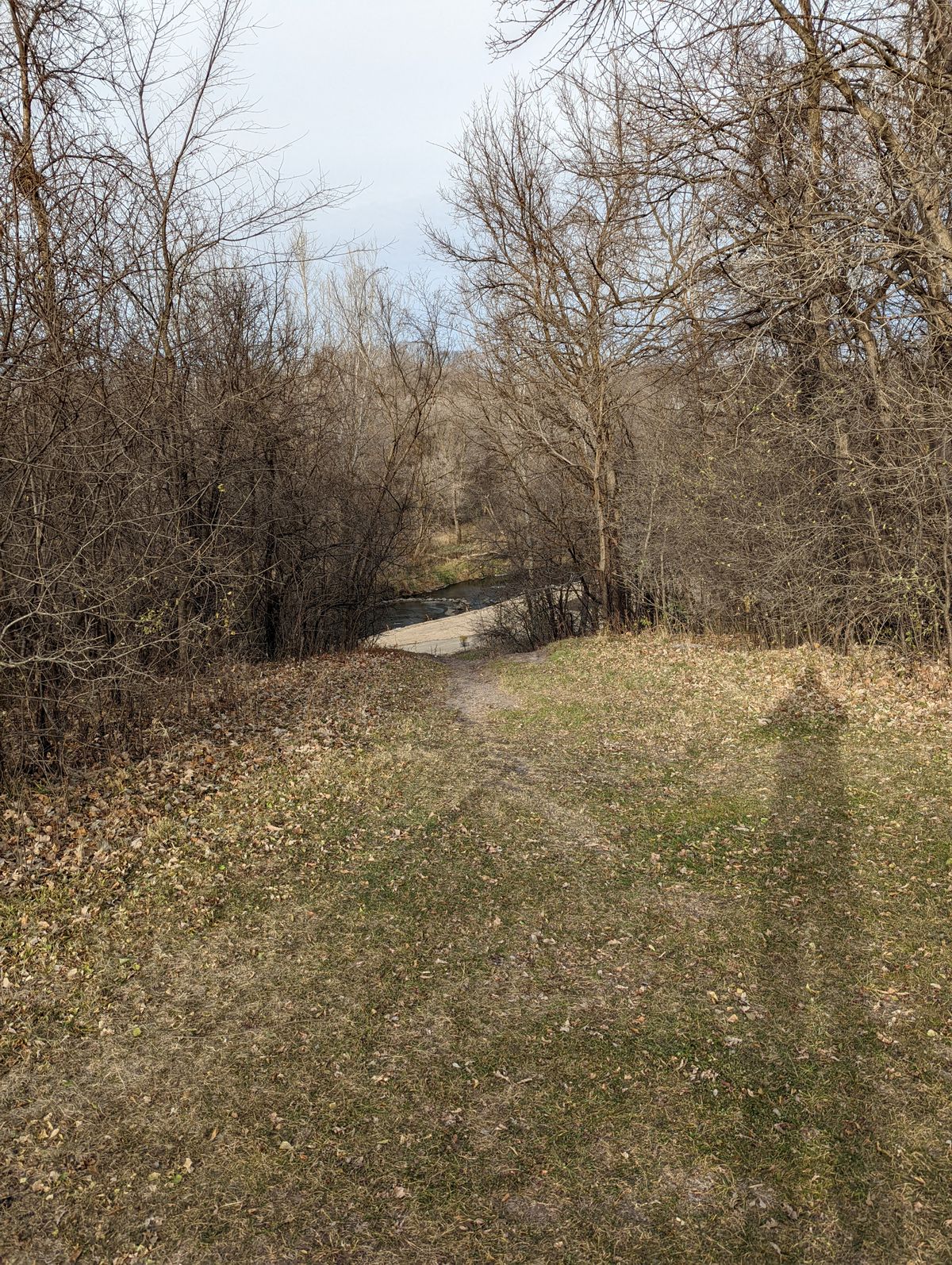 Hole 2 - Steep downhill