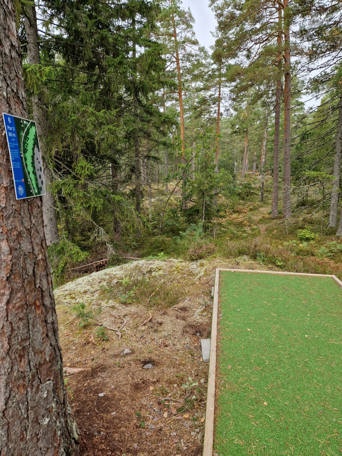 Hål 6