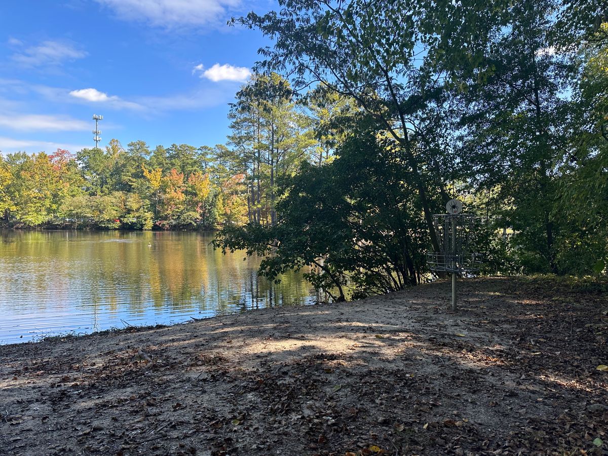 Hole #12 basket overlooking the lake