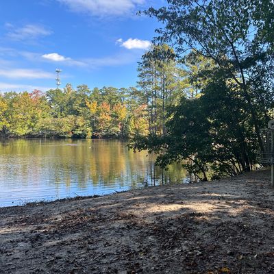 Hole #12 basket overlooking the lake