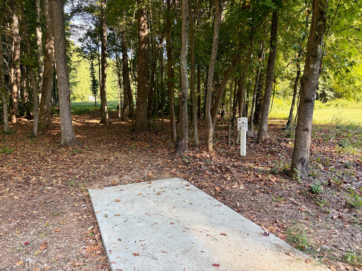 Hole 8 tee
