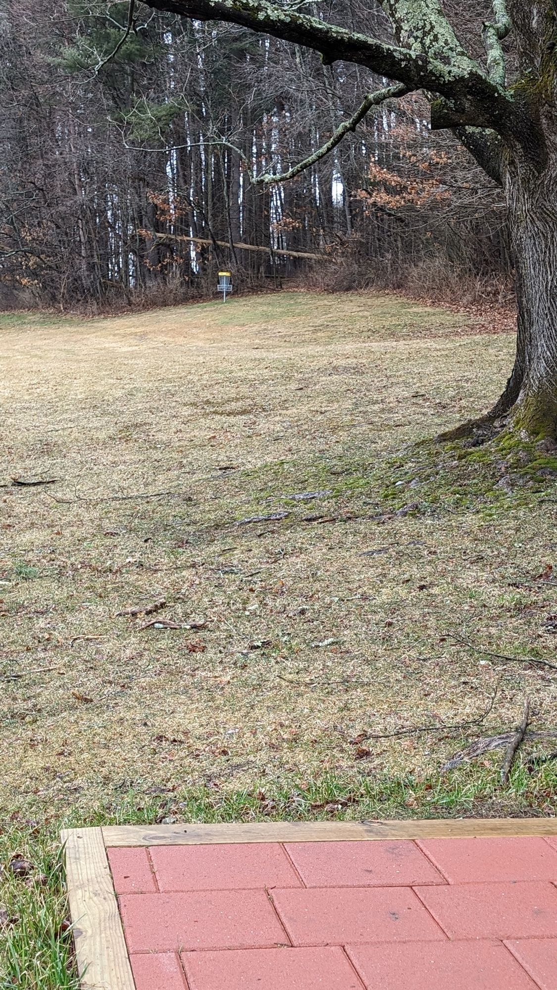 Hole 4