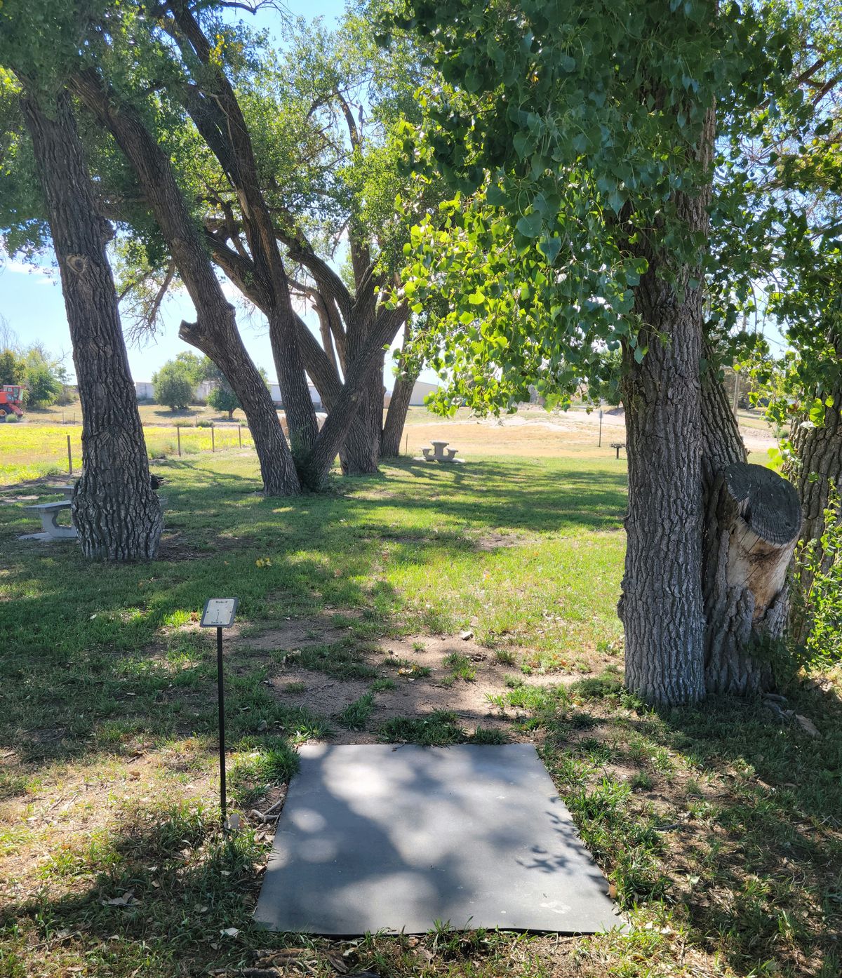 Tee box #6